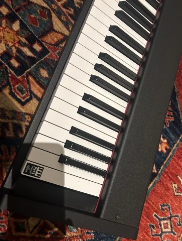 Korg D1