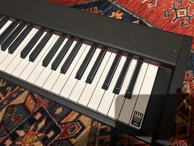 Korg D1