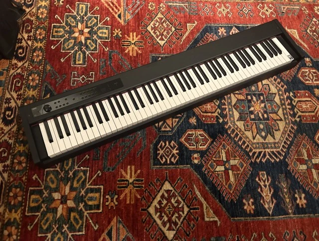 Korg D1