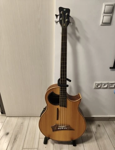 Warwick Alien