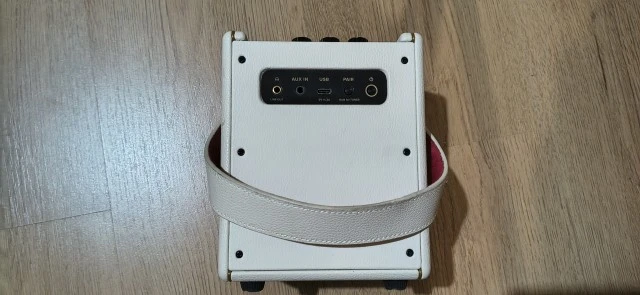 Positive Grid Spark Mini
