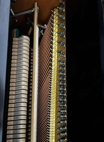 Yamaha U1