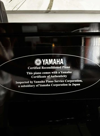 Yamaha U1