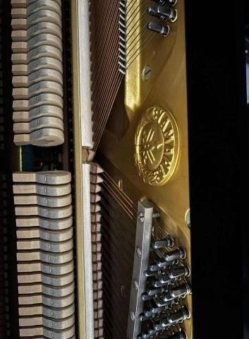 Yamaha U1