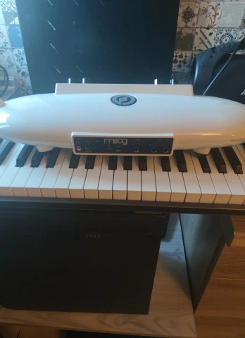 Moog Moog Theremini