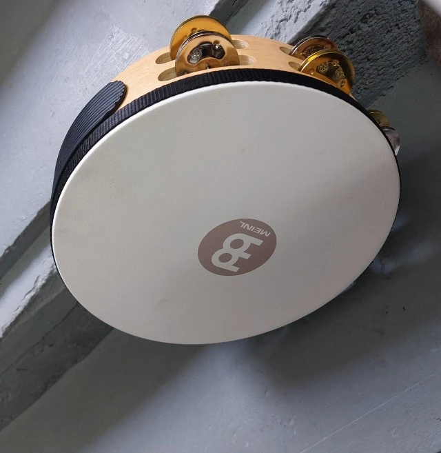Meinl TAH2M-SNT 10" Tambourine