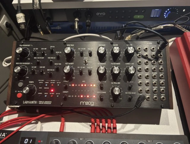 Moog Labyrinth