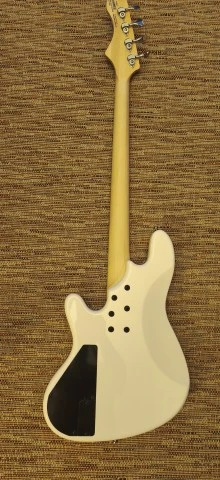 Cort Elrick NJS 4