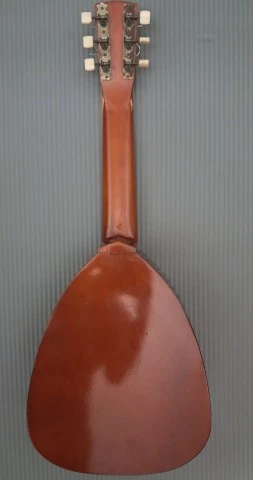 Takamine Lute Guitar