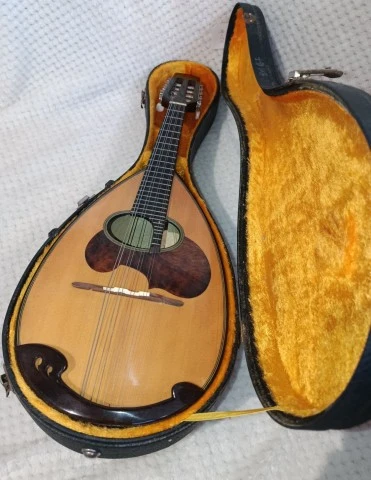Suzuki M-50 Master Hand
