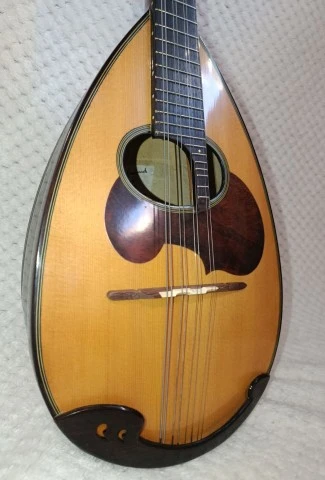 Suzuki M-50 Master Hand