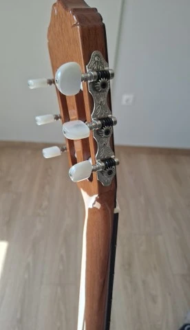 ηλεκτροκλασσικη Raimundo 610E