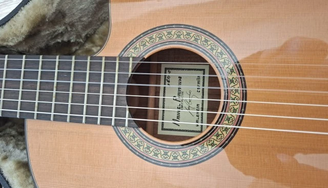 ηλεκτροκλασσικη Raimundo 610E