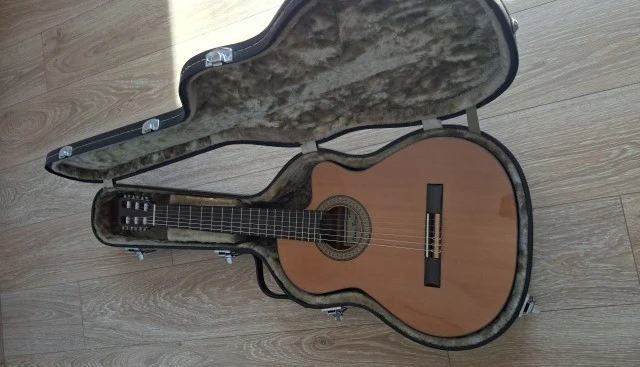 ηλεκτροκλασσικη Raimundo 610E