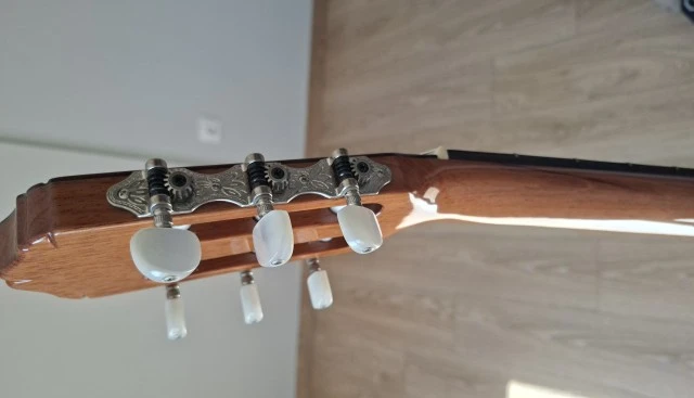 ηλεκτροκλασσικη Raimundo 610E