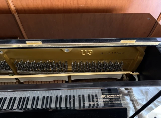 Yamaha U3