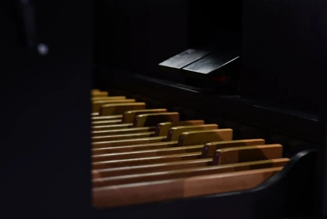 Mixtuur Intrada