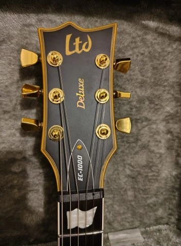 LTD EC-1000