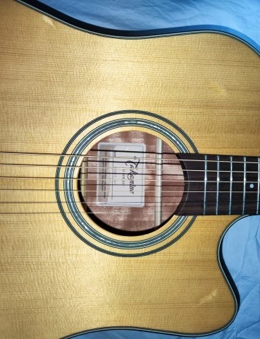 Takamine G Series