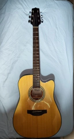 Takamine G Series