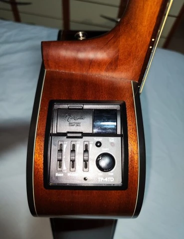 Takamine G Series