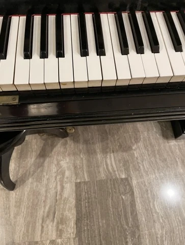 Chassaigne Freres Piano