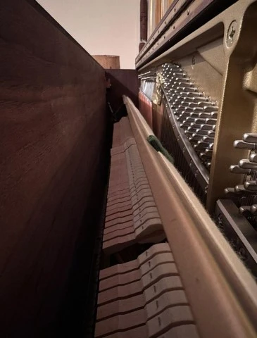 Yamaha U1