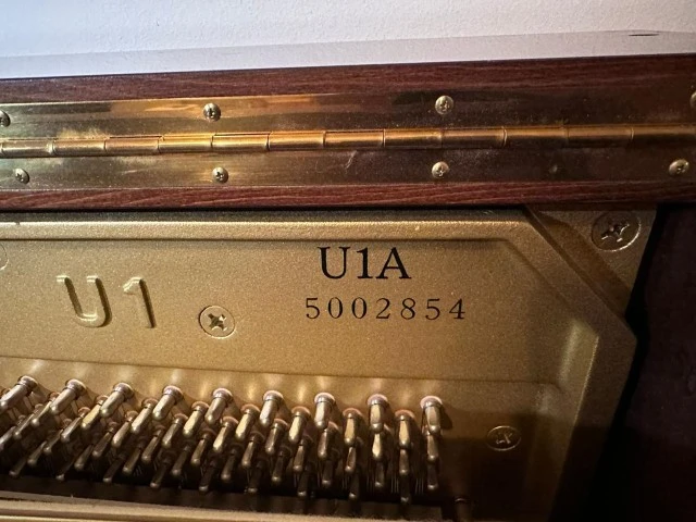 Yamaha U1