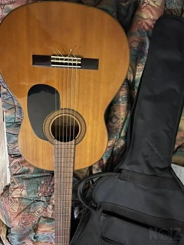 Yamaha G-225
