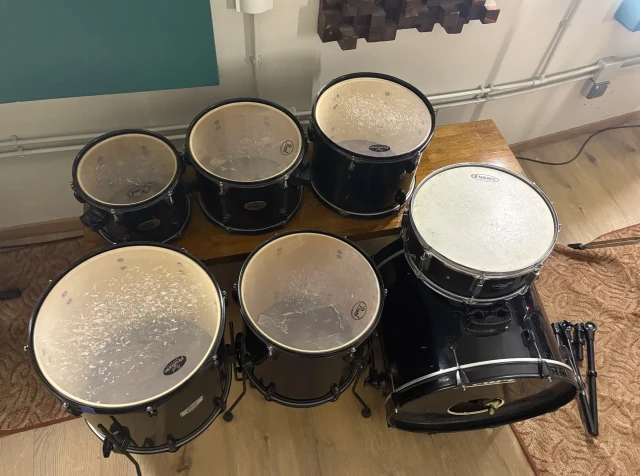 Pearl Export EX