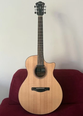 Ibanez AE Series