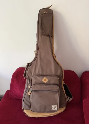 Ibanez AE Series