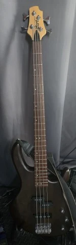 Cort Action PJ Bass