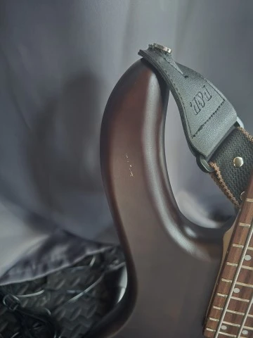 Cort Action PJ Bass