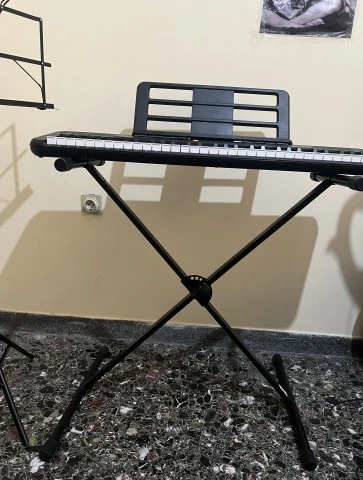 Αρμόνιο casiotone