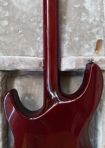 Schecter Hellraiser C-1 Korea 2007 / Gator Hardcase