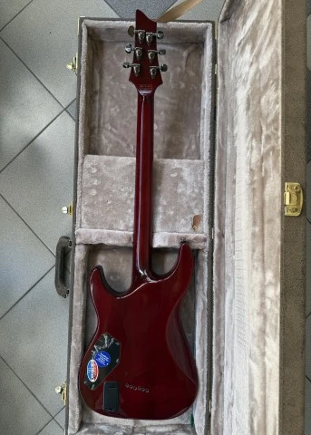 Schecter Hellraiser C-1 Korea 2007 / Gator Hardcase