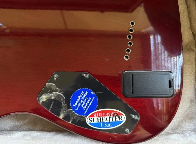 Schecter Hellraiser C-1 Korea 2007 / Gator Hardcase