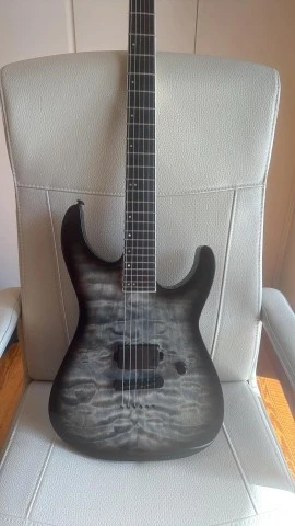 ESP LTD M-1001NT