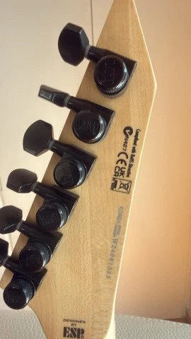 ESP LTD M-1001NT