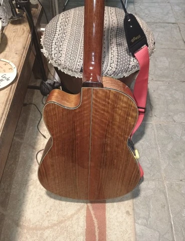 Washburn C5 CE
