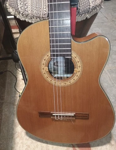 Washburn C5 CE