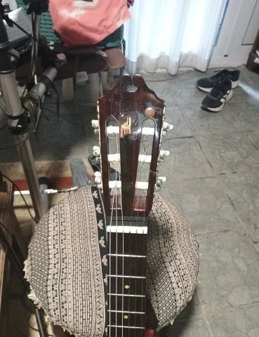 Washburn C5 CE
