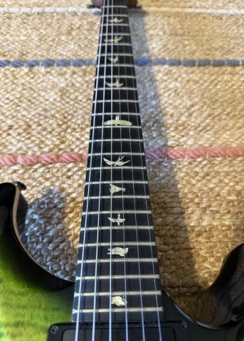 PRS Wood Library Custom 24 Floyd 10 Top Eriza Verde Smokeburst