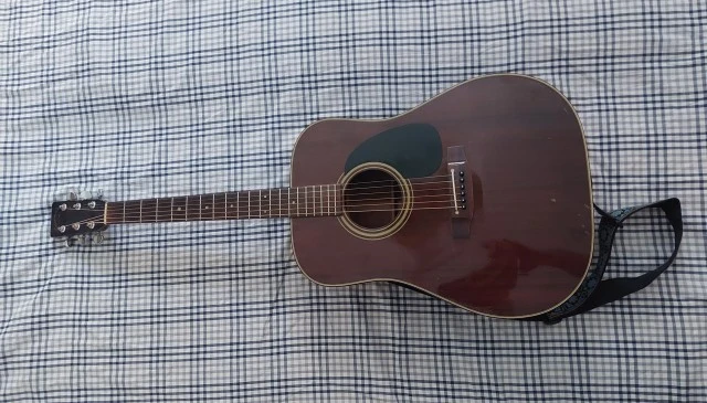 Takamine EF-349