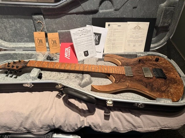Mayones Duvell Elite 6 Custom Pro music Tools order