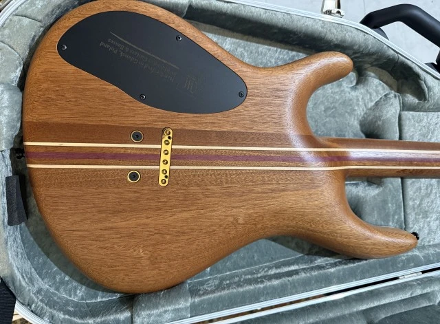 Mayones Regius Koa 6 Thomann custom order VIP photo shoot