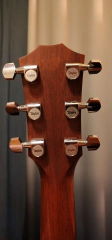 Taylor 315 Jumbo