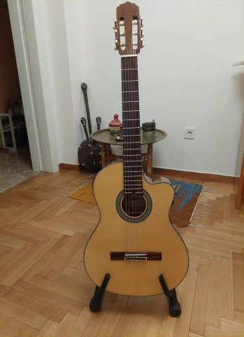 Aria AK-30CE
