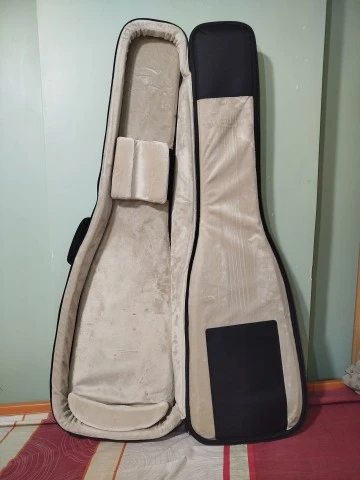 5 String Bass Guitar - Ibanez SR605